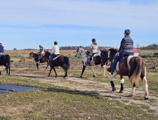 Neighs in the Maze