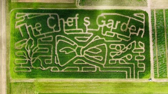 Maze After Dark