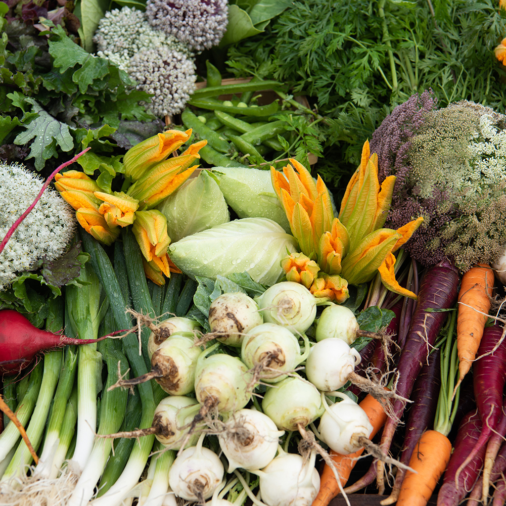The Chef's Garden