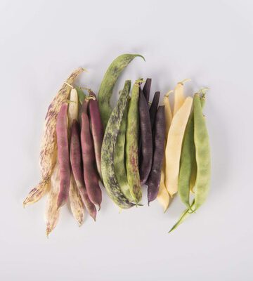 Romano Beans