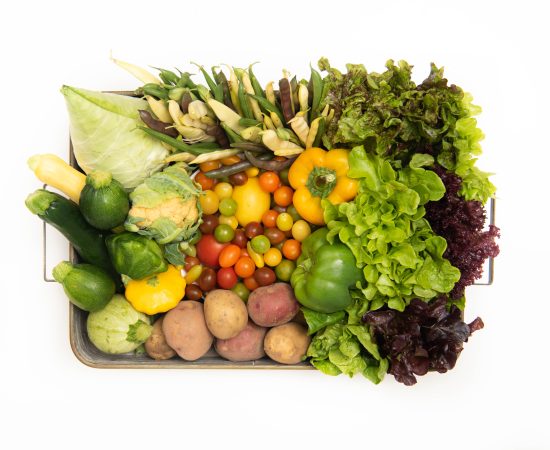 Eat the Rainbow Box