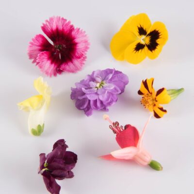 Mixed Flowers