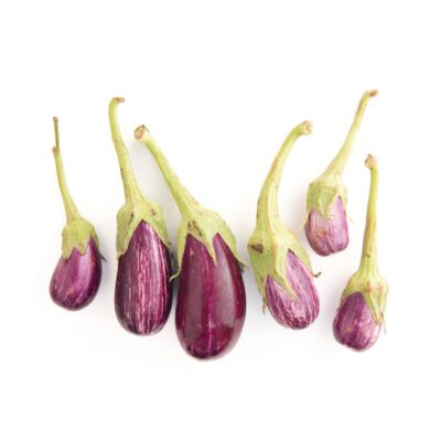 Annina Eggplant