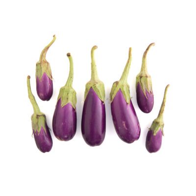 Dancer Eggplant