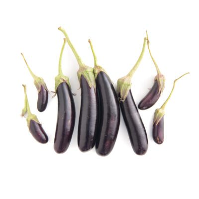 Hansel Eggplant