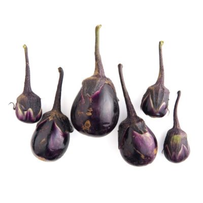 Japanese Water Eggplant
