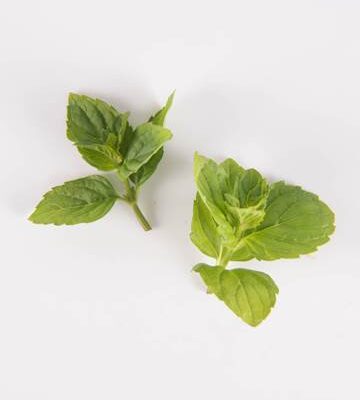 English Mint