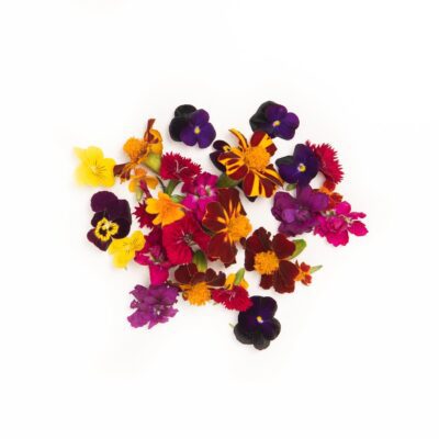 Fall Mixed Flowers