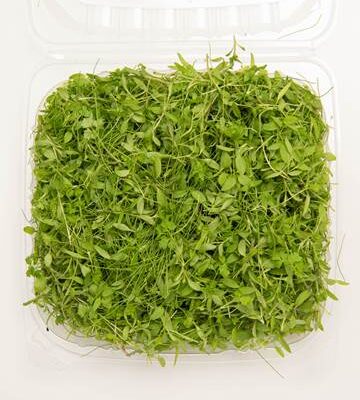 Fines Herbs™