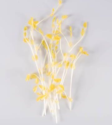 Gold Pea Tendril