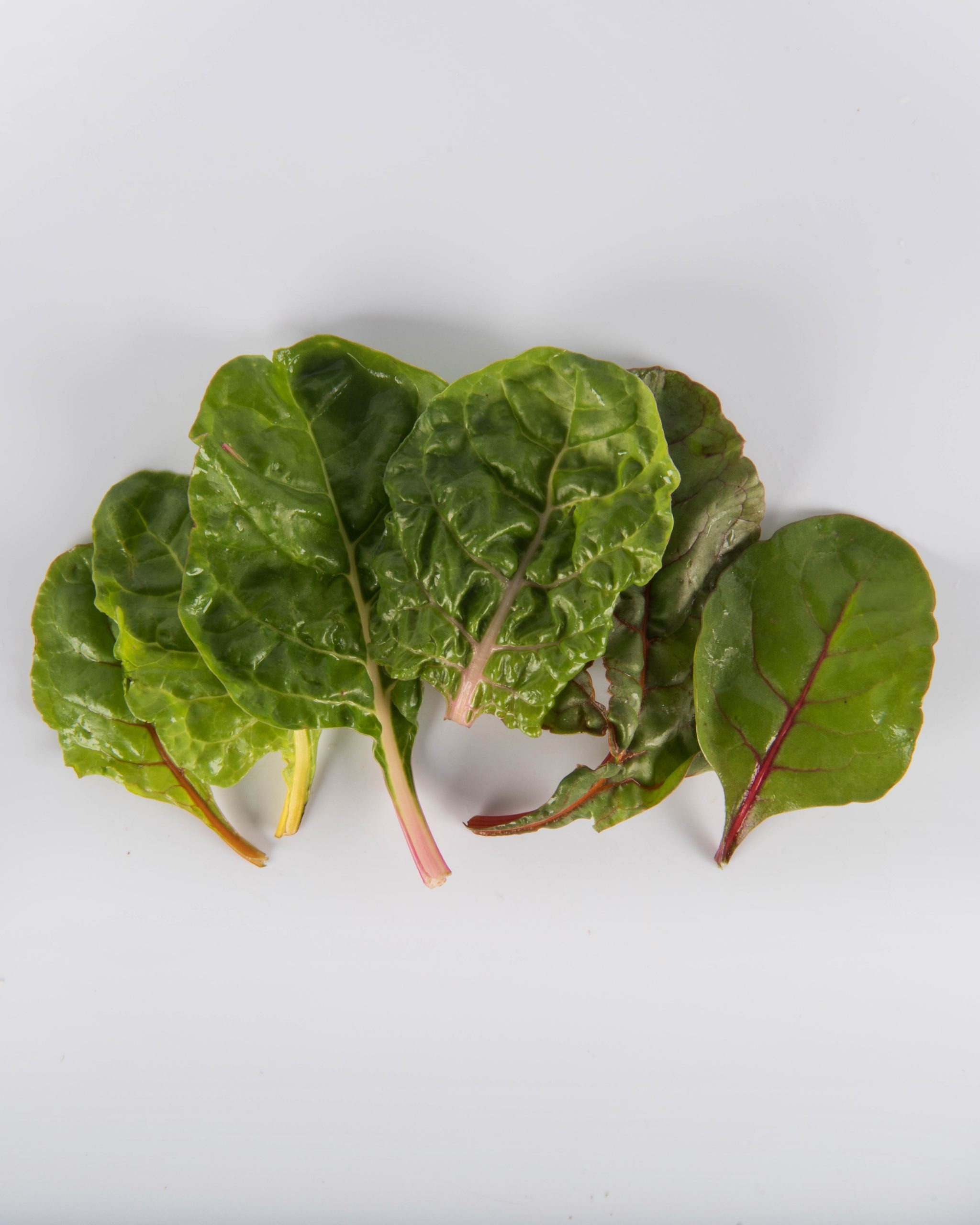 Chard