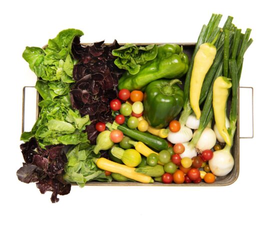 Grilling Box