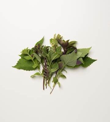 Herb Sampler