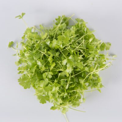 Cutting Celery