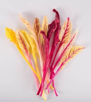 Mixed Beet Blush