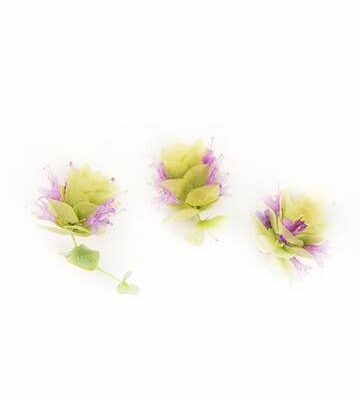Oregano Blooms