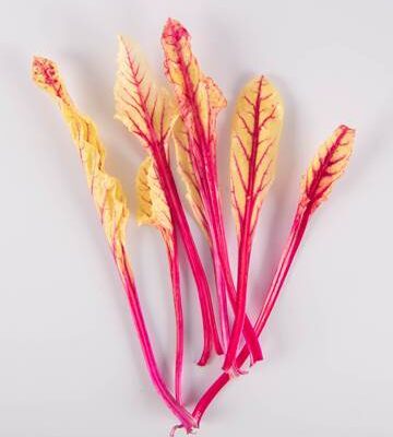 Beet Blush