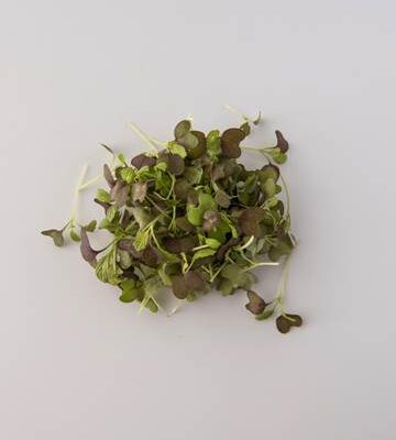 Red Mustard