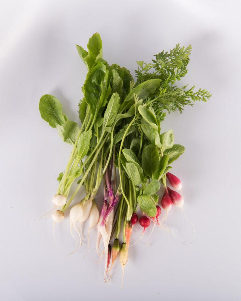 Mixed Root
