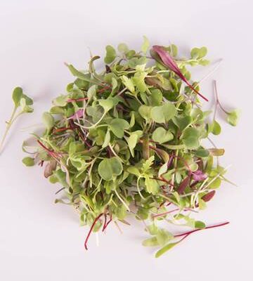 Salad Sensation®