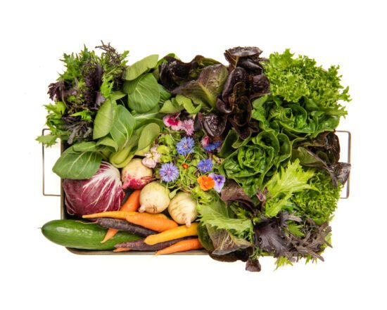 Salad Box