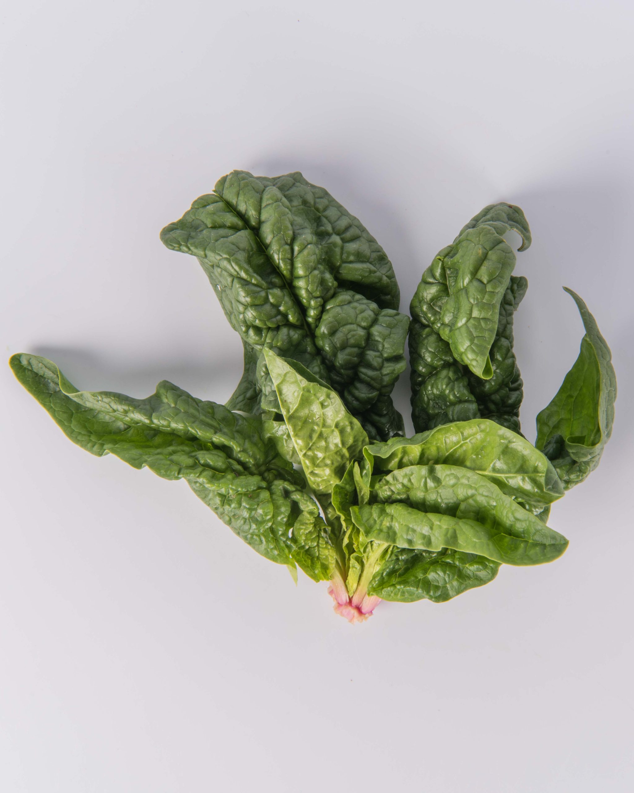 Spinach