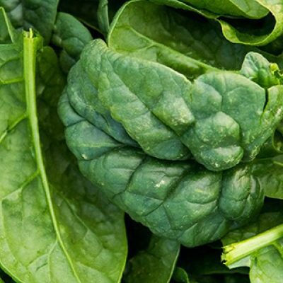 Greens