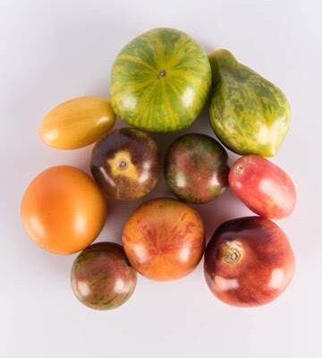 Toy Box Tomatoes