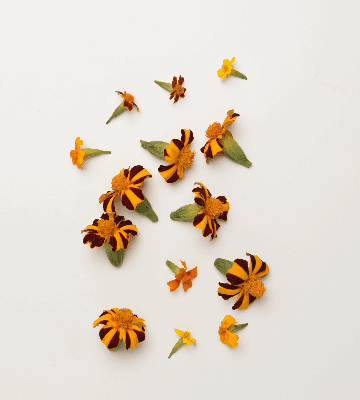 Mixed Marigolds