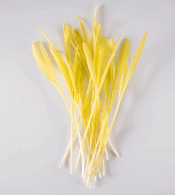Popcorn Shoots™