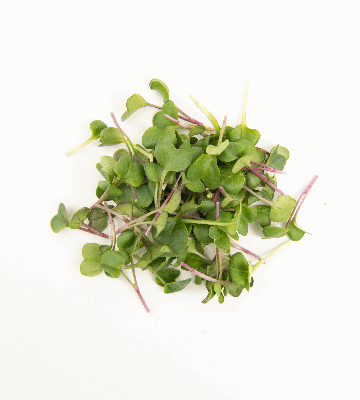 Mulberry Radish
