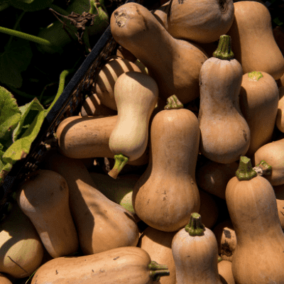 Seasonal Vegetables