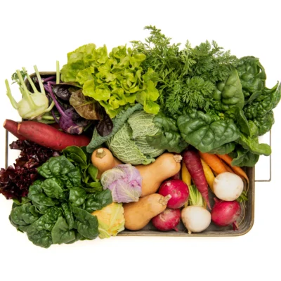 Curated Boxes