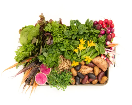 Gourmet Vegetable Box